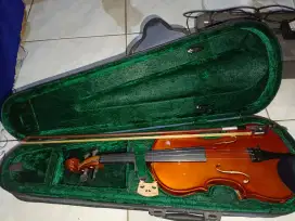 Biola Skylark violin mv 008 1/2