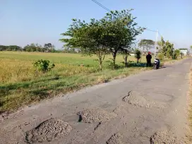 Sawah 1.450m² muka 12m jln DPU 8m , gondang joho mojolaban
