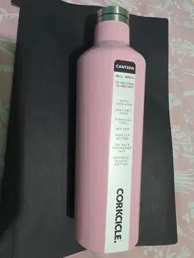 CORKCICLE Canteen 16oz free LocknLock