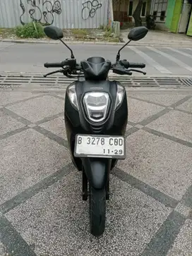 HONDA GENIO 2019