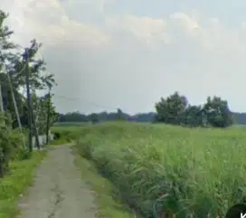 Tanah / persawahan
