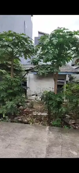 Dijual cepat rumah tua itung tanah 1 lantai di komplek KFT Taman Palem