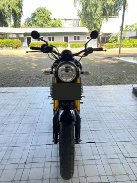 Yamaha XSR155 XSR 155 2023