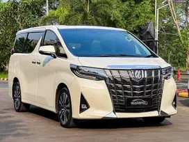 Toyota Alphard G ATPM 2023 15rb KM no minus very well maintained