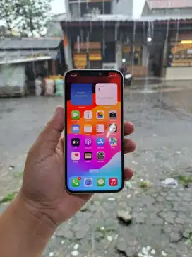 iPhone 12 Internal 64GB Ex Inter Signal All Operator