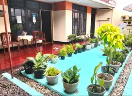 Rumah Asri dan Nyaman di Tengah Kota Tasikmalaya