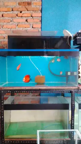 Akuarium 90x40x30
