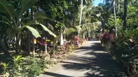 JUAL TANAH DI KALIDENGEN TEMON KULONPROGO