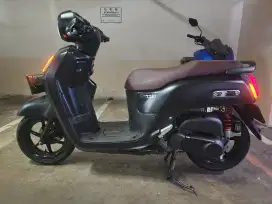 Di Jual Fazzio Lux Tahun 2022