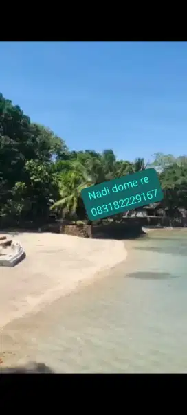 Tanah pinggir pantai