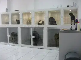 KENNEL GIRL / BOY