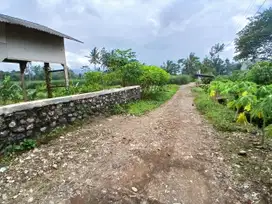 Tanah Kapling Pakisjajar Malang Dekat Pasar Pakis Cocok Untuk Hunian