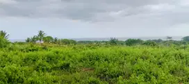 DiJual Tanah View Pemandangan