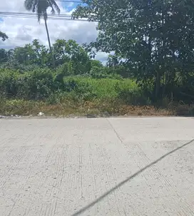 Jual Tanah di Kab.Sorong Aimas Unit 2.Luas 50 X 50