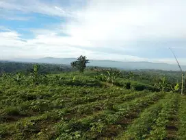 DiJual Tanah Cocok Untuk Tempat Wusata,  Green House Cibadak Sukabumi