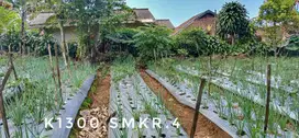 Dijual tanah luas subur pinggir jalan strategis lingkungan nyaman