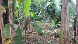 Dijual tanah cocok untuk cluster harga murah