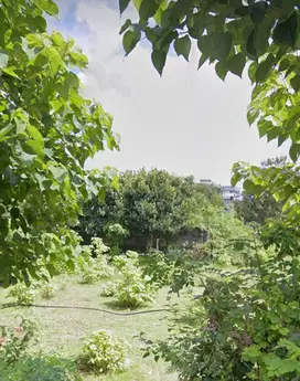 TANAH BAGUS & LUAS DI JALAN GOA GONG, UNGASAN - BALI