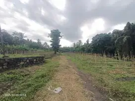 Tanah Murah dekat Pantai Pekutatan Bali dan Kelapa Retreat Spa
