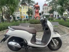 Honda Scoopy prestige (2024)