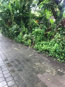 Tanah Premium Mertasari Sanur Denpasar