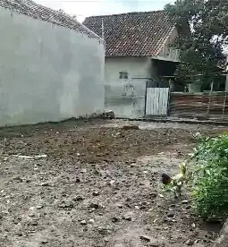 Jogja Tanah Sleman Berbah, Dekat Bandara Adisucipto