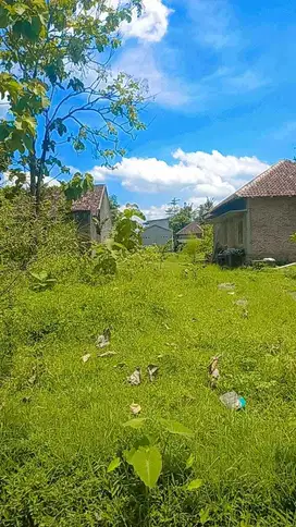 Cari Jual Beli Tanah Jogja, Prambanan Sleman, MURAH