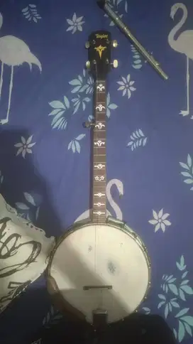 Banjo Clawhammer 5 Strings Second bekas