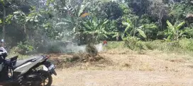 Tanah pulodarat pecangaan