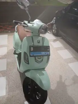 SMOOT ZUZU Mint