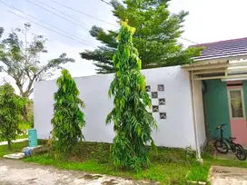 TAKE OVER /DIJUAL CEPAT RUMAH HOOK MURAH DAN LUAS  SIAP HUNI