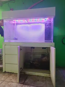AQUARIUM X IKAN ARWARNA