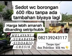 Sedot wc Penuh Doang Mojokerto