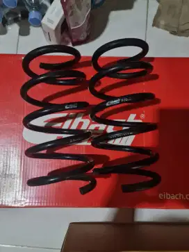 Lowering kit eibach xpandee
