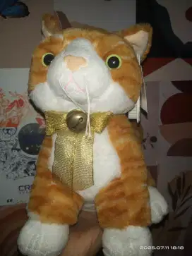 Boneka kucing mr. Di*