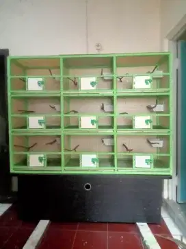 Kandang ternak burung kenari