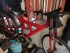 Sepeda dewasa santai