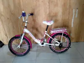 Sepeda Mini Wymcycle 16