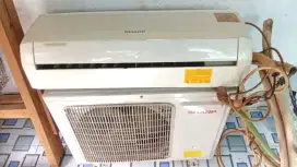 Ac sharp 3/4pk second