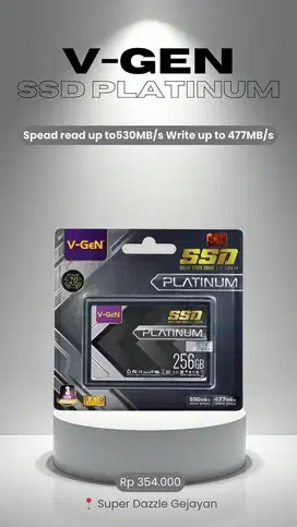 V-GEN SSD PLATINUM 256GB