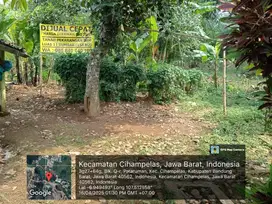JUAL CEPAT TANAH MURAH 80JUTA 11 TUMBAK CIHAMPELAS KAB. BANDUNG BARAT