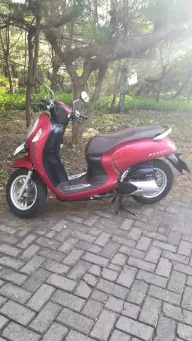 Honda scoopy keyless 2024 merah doff