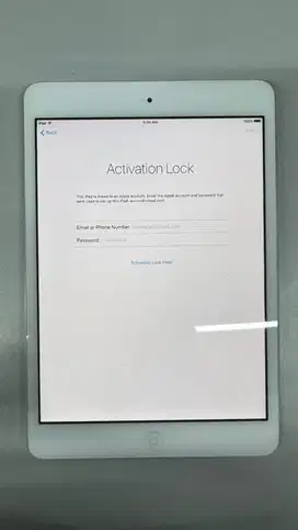 Ipad Mini Storage 64GB Lock Icloud