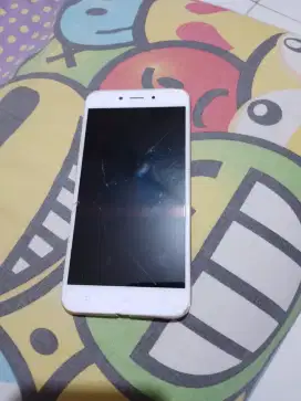 Samsung dan Oppo