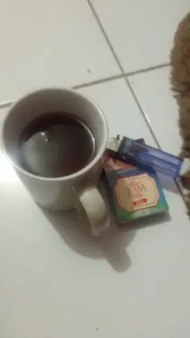 Cv. Berkah Lautan Samudra