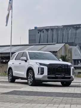 Palisade signature 2022