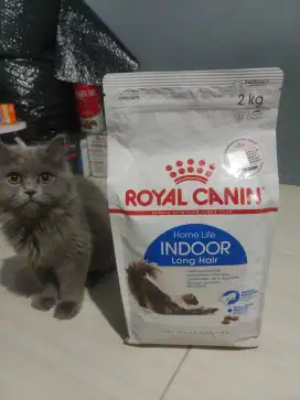 ROYAL CANIN INDOOR LONG HAIR 2KG