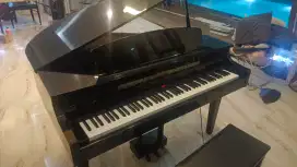 Baby Grand Yamaha Clavinova CLP 465 GP piano digital