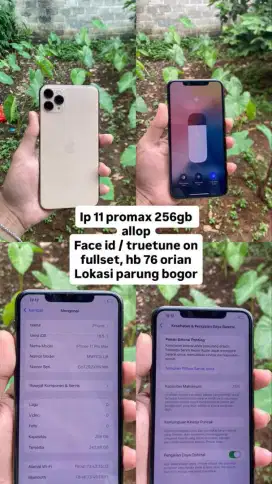 IP 11 promax 256gb