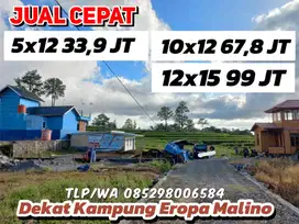 TANAH MALINO DEKAT WISATA HUTAN PINUS